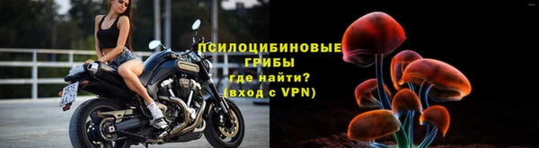 стафф Нефтегорск