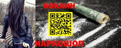 стаф Кинель