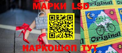 стаф Кинель