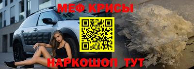 стаф Кинель