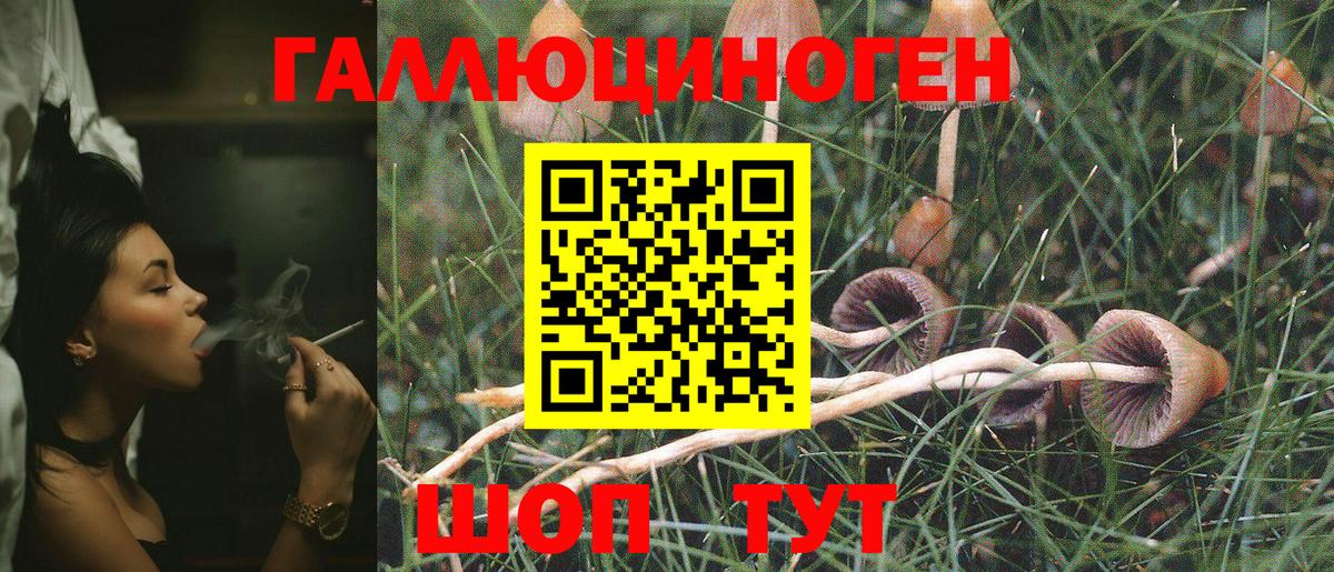 Псилоцибиновые грибы ЛСД Мегион