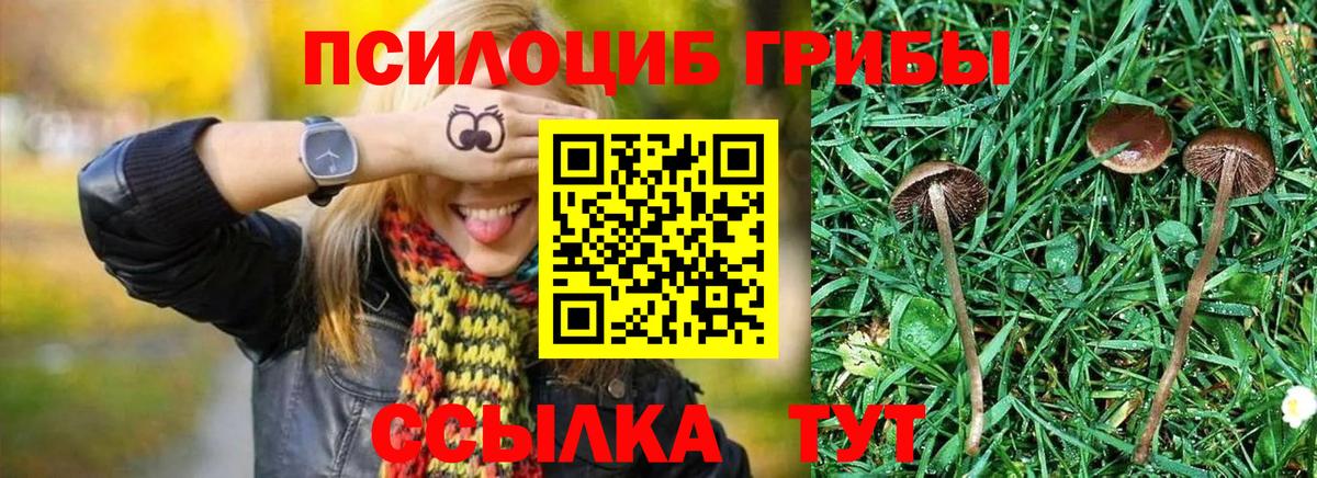 Галлюциногенные грибы мицелий  Вход с VPN  Мегион 