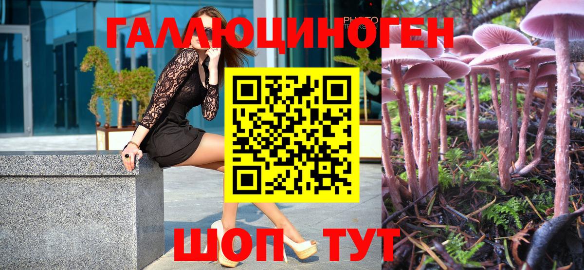 магазин  наркотиков  Мегион  Псилоцибиновые грибы GOLDEN TEACHER 